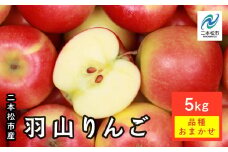 《2025年9月下旬以降発送》羽山りんご品種おまかせ(早生・中早生)5Kg りんご リンゴ 林檎 国産りんご フルーツ 果物 人気 ランキング おすすめ ギフト 故郷 ふるさと 納税 福島 ふくしま 二本松市 送料無料【羽山果樹組合】