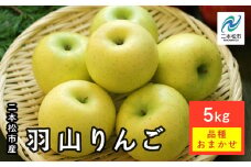 《2025年11月中旬以降発送》羽山りんご 品種おまかせ(中早生)5kg りんご リンゴ 林檎 国産りんご フルーツ 果物 人気 ランキング おすすめ ギフト 故郷 ふるさと 納税 福島 ふくしま 二本松市 送料無料【羽山果樹組合】