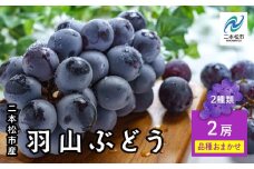 《2025年9月初旬以降発送》羽山のぶどうおまかせ 2房（1.4kg） ブドウ ぶどう 葡萄 フルーツ 果物 人気 ランキング おすすめ ギフト 故郷 ふるさと 納税 福島 ふくしま 二本松市 送料無料【羽山果樹組合】