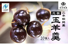 二本松の名物 銘菓《玉嶋屋の玉羊羹》20個入り 羊羹 ようかん 玉羊羹 銘菓 玉嶋屋 和菓子 餡子 あんこ おすすめ お中元 お歳暮 ギフト 二本松市 ふくしま 福島県 送料無料【御菓子師　玉嶋屋】