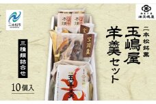 玉嶋屋羊羹セット 羊羹 ようかん 玉羊羹 銘菓 玉嶋屋 和菓子 餡子 あんこ おすすめ お中元 お歳暮 ギフト 二本松市 ふくしま 福島県 送料無料【御菓子師　玉嶋屋】