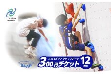スカイピアあだたら「アクティブパーク」利用チケット 300円×12枚分 チャンスク チャンネルスクエア スケートボード スポーツクライミング スラックライン 屋内スポーツ おすすめ お中元 お歳暮 ギフト 二本松市 ふくしま 福島県 送料無料【F-WORLD】