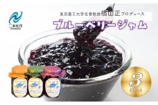 東京農工大学名誉教授「横山　正」ブランドのブルーベリージャム 3個セット ブルーベリー 産地 直送 農工大 新鮮 大粒 収穫 完熟【東和ブルーベリー研究農園】