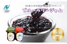 東京農工大学名誉教授「横山　正」ブランドのブルーベリージャム 2個セット ブルーベリー ジャム フルーツ 果物 東京農工大学 名誉教授 おすすめ お中元 お歳暮 ギフト 二本松市 ふくしま 福島県 送料無料【東和ブルーベリー研究農園】