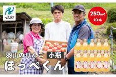 羽山のりんご ほっぺくん 小瓶（250ml）10本入り りんごジュース 果汁100％ 国産 ストレート アップル 無添加 リンゴジュース おすすめ お中元 お歳暮 ギフト 二本松市 ふくしま 福島県 送料無料【羽山果樹組合】