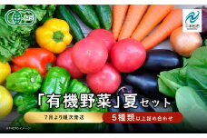 《2025年7月より順次発送》季節の有機野菜「夏セット」 オーガニック 有機栽培 有機 有機JAS 有機野菜 野菜セット 野菜 サラダ ベジタブル おすすめ お中元 お歳暮 ギフト 二本松市 ふくしま 福島県 送料無料【一般社団法人二本松有機農業研究会】