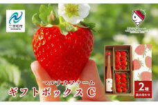 《2025年3月以降順次発送》まるなかファーム ギフトボックスC いちご 酒 リキュール liqueur ストロベリー 日本酒 セット 苺 イチゴ フルーツ 果物 おすすめ お中元 お歳暮 ギフト 二本松市 ふくしま 福島県 送料無料 【まるなかファーム】