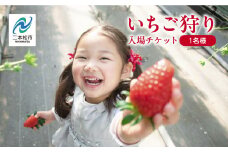 《2025年1月5日〜5月24日開園》いちご狩り入場チケット いちご ストロベリー いちご狩り 苺 イチゴ フルーツ 果物 おすすめ お中元 お歳暮 ギフト 二本松市 ふくしま 福島県 送料無料【まるなかファーム】