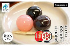 創業嘉永六年 玉家玉振堂のお祭り玉羊羹 羊羹 ようかん 羊かん 和菓子 菓子 玉振堂 お茶菓子 スイーツ 贈答用 おすすめ お中元 お歳暮 ギフト 二本松市 ふくしま 福島県 送料無料【玉家玉振堂】