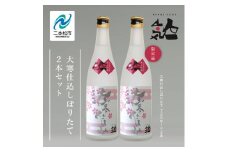 《数量限定  2026年3月出荷開始》大寒仕込しぼりたて720ml 2本セット 人気一 日本酒 酒 限定 アルコール 吟醸 純米 酒造 酒蔵 おすすめ お中元 お歳暮 ギフト 二本松市 ふくしま 福島県 送料無料 【人気酒造】