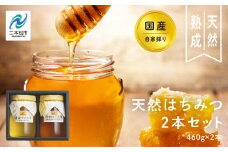 自家採り国産天然はちみつ 2本セット(460g×2) 蜂蜜 はちみつ ハチミツ 国産 アカシヤ ハニー 天然 無添加 おすすめ お中元 お歳暮 ギフト 二本松市 ふくしま 福島県 送料無料【渡辺養蜂場】