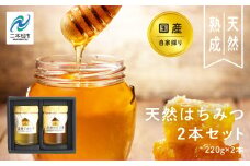 自家採り国産天然はちみつ 2本セット(220g×2) 蜂蜜 はちみつ ハチミツ 国産 百花蜜 アカシヤ ハニー 天然 無添加 おすすめ お中元 お歳暮 ギフト 二本松市 ふくしま 福島県 送料無料 【渡辺養蜂場】