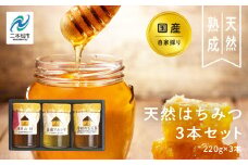自家採り国産天然はちみつ 3本セット(220g×3) 蜂蜜 はちみつ ハチミツ 国産 百花蜜 アカシヤ ハニー 天然 無添加 おすすめ お中元 お歳暮 ギフト 二本松市 ふくしま 福島県 送料無料【渡辺養蜂場】