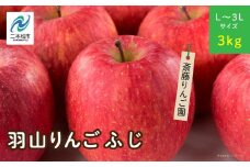 《2025年11月下旬以降順次》羽山のりんご　ふじL〜3Lサイズ3kg りんご リンゴ 果物 フルーツ 羽山りんご 3kg ふじ 人気 くだもの おすすめ お中元 お歳暮 ギフト 二本松市 ふくしま 福島県 送料無料【斎藤りんご園】
