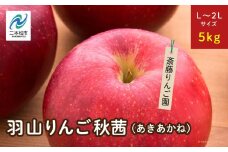 《2025年10月下旬以降順次発送》羽山のりんご　秋茜L〜2Lサイズ5kg りんご リンゴ 果物 フルーツ 羽山りんご 5kg 秋茜 人気 くだもの おすすめ お中元 お歳暮 ギフト 二本松市 ふくしま 福島県 送料無料【斎藤りんご園】