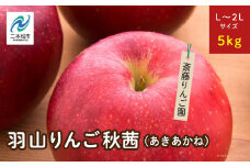 《2025年10月下旬以降順次発送》羽山のりんご　秋茜L〜2Lサイズ5kg りんご リンゴ 果物 フルーツ 羽山りんご 5kg 秋茜 人気 くだもの おすすめ お中元 お歳暮 ギフト 二本松市 ふくしま 福島県 送料無料【斎藤りんご園】