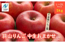《2025年10月以降順次発送》羽山のりんご　中生おまかせL〜2Lサイズ5kg りんご リンゴ 果物 フルーツ 羽山りんご 5kg 早生ふじ ふじ 人気 くだもの おすすめ お中元 お歳暮 ギフト 二本松市 ふくしま 福島県 送料無料【斎藤りんご園】