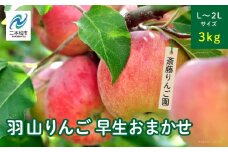 《2025年8月下旬以降順次発送》羽山のりんご　早生おまかせL〜2Lサイズ3kg りんご リンゴ 果物 フルーツ 羽山りんご 3kg 早生 人気 くだもの おすすめ お中元 お歳暮 ギフト 二本松市 ふくしま 福島県 送料無料【斎藤りんご園】