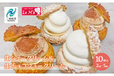 生シュークリームと生チョコシュークリーム10個入り アソート 洋菓子 シュー チョコ お菓子 贈り物 食べ比べ プレゼント ギフト 菓子 冷凍【ル・エムズ】