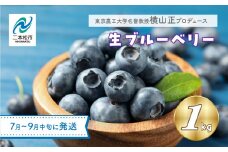 《2025年7月以降順次発送》東京農工大学名誉教授「横山　正」ブランドのブルーベリー果実1kg（品種おまかせ）ブルーベリー 産地 直送 新鮮 大粒 パン トースト 農家 完熟 果物 おすすめ お中元 お歳暮 ギフト 送料無料 二本松市 ふくしま 福島県 送料無料 【東和ブルーベリー研究農園】