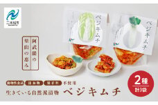 《2025年10月以降順次発送》ベジキムチ（白菜2袋／大根1袋） キムチ 白菜 大根 手作り 無添加 ごはんのおとも ご飯のおとも つけもの おすすめ お中元 お歳暮 ギフト 送料無料 二本松市 ふくしま 福島県 送料無料【Soleil（ソレイユ）】