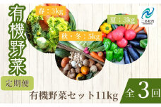【定期便】全3回！季節の有機野菜セット  オーガニック 有機栽培 有機 有機JAS 有機野菜 野菜セット 野菜 サラダ 定期便 おすすめ お中元 お歳暮 ギフト 二本松市 ふくしま 福島県 送料無料【一般社団法人二本松有機農業研究会】