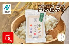 令和7年産 《2025年10月以降順次発送》コシヒカリ 二本松十万石米 精米5kg 米 コシヒカリ こしひかり 令和7年度産 白米 ふっくら 甘い 人気 ランキング おすすめ ギフト 故郷 ふるさと 納税 福島 ふくしま 二本松市 送料無料【株式会社Y&Tカンパニー】