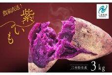 《10月中旬以降順次発送》農家直送！とろける濃密紫いも3kg 野菜 芋 いも 紫いも むらさきいも お芋 3キロ 3kg 人気 名産 ねっとり 甘い 甘味 国産 産地直送 おすすめ お中元 お歳暮 ギフト 二本松市 ふくしま 福島県 送料無料【ADATARAふぁーむ】