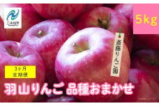 【3ヶ月定期便】品種おまかせ！羽山のりんご5kg×3回 りんご リンゴ 果物 フルーツ 羽山りんご 5kg 早生 人気 くだもの おすすめ お中元 お歳暮 ギフト 二本松市 ふくしま 福島県 送料無料【斎藤りんご園】