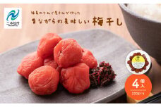 昔ながらの美味しい梅干し4個セット 梅干し 漬物 手作り 梅 人気 うめぼし 家庭用 セット しそ梅 おすすめ お中元 お歳暮 ギフト 二本松市 ふくしま 福島県 送料無料【菊地果樹園】