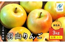 《2025年10月下旬以降発送》羽山のりんご トキ3kg りんご リンゴ 林檎 国産りんご フルーツ 果物 人気 ランキング おすすめ ギフト 故郷 ふるさと 納税 福島 ふくしま 二本松市 送料無料【羽山果樹組合】