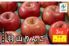《2025年12月上旬以降発送》羽山りんご 完熟サンふじ 3kg りんご リンゴ 林檎 国産りんご フルーツ 果物 人気 ランキング おすすめ ギフト ふるさと 納税 福島 ふくしま 二本松市 送料無料【羽山果樹組合】