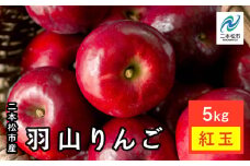 《2025年10月中旬以降発送》羽山のりんご　紅玉5kg りんご リンゴ 林檎 旬 フルーツ 果物 食感 新鮮 甘い 甘み 酸味 グルメ おいしい 人気 ランキング おすすめ ギフト 福島 ふくしま 二本松市 送料無料【羽山果樹組合】
