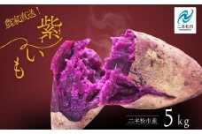 《10月中旬以降順次発送》農家直送！とろける濃密紫いも5kg 野菜 芋 いも 紫いも むらさきいも お芋 5キロ 5kg 人気 名産 ねっとり 甘い 甘味 国産 産地直送 おすすめ お中元 お歳暮 ギフト 二本松市 ふくしま 福島県 送料無料【ADATARAふぁーむ】
