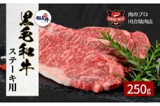 【 福島牛 】 黒毛和牛 サーロインステーキ用 250g 1枚 冷凍保存 肉 牛肉 焼肉 ステーキ 旨味 贈答 ギフト プレゼント 人気 ランキング おすすめ グルメ 福島 ふくしま 田村 田村市 たむら 川合精肉店
