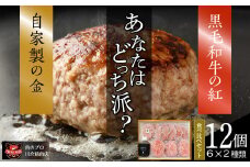  自家製 ハンバーグ 食べ比べ 12個セット ( 6個 × 2種類 ) 小分 パック 冷凍保存 肉 牛肉 おかず お弁当 ジューシー 贈答 ギフト プレゼント 人気 ランキング おすすめ グルメ 福島 福島県 ふくしま 田村 田村市 たむら 川合精肉店