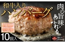 自家製 和牛入り ハンバーグ 10個 セット 小分パック 冷凍保存 肉 牛肉 おかず お弁当 ジューシー 贈答 ギフト プレゼント 人気 ランキング おすすめ グルメ 厳選 福島県 福島 ふくしま 田村 田村市 たむら 川合精肉店