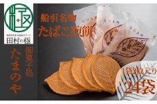 たまのや 「たばこ煎餅」 お菓子 お煎餅 おやつ スイーツ 国産 おすすめ お中元 送料無料  緊急支援品 生活応援 コロナ支援 福島県 田村市 ふくしま たむら
