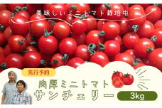 【 先行予約 】 ミニトマト サンチェリー 3kg 7月発送 大容量 トマト プチトマト 新鮮 野菜 農家直送 3キロ おすすめ おいしい ギフト 贈答 プレゼント 福島県 田村市 田村 よしのや農園