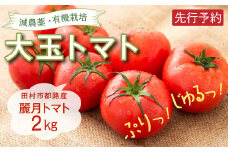 【 先行予約 】 大玉トマト 2kg トマト 野菜 減農薬 有機栽培 麗月 農家直送 新鮮 2キロ 2KG 夏 人気 おすすめ おいしい 福島県 田村市 田村 自然農園リリバリ