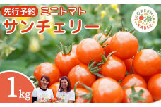 【 先行予約 】 ミニトマト サンチェリー 1kg 2025年7月発送 トマト 新鮮 野菜 農家直送 1キロ 人気 おすすめ ギフト 贈答 プレゼント 福島県 田村市 田村 GREEN for TABLE