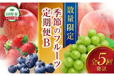 ＼ 旬の時期お届け！【全5回】 2025年1月スタート ／ フルーツ定期便B 農家直送 自分へのご褒美 数量限定 旬 季節 果物 フルーツ セット いちご 苺 冷凍 ブルーベリー 桃 ぶどう シャインマスカット りんご 人気 福島県 田村市