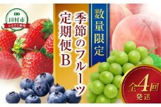＼ 旬の時期お届け！【全4回】 2026年1月スタート ／ フルーツ定期便B 農家直送 自分へのご褒美 数量限定 旬 季節 果物 フルーツ セット いちご 苺 冷凍 ブルーベリー 桃 ぶどう シャインマスカット 人気 福島県 田村市