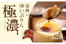  ゆいプリンリッチ 12個 セット ( 6個 × 2箱 ) スイーツ デザート プリン 洋菓子 お菓子 菓子 お取り寄せ 贅沢 濃厚 贈答 ギフト プレゼント お中元 お歳暮 おすすめ 人気 美味しい 冷蔵 福島県 田村市 田村 みやこじスイーツゆい