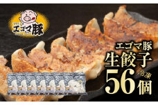 エゴマ豚 冷凍 生餃子 56個 ( 8個入 × 7袋 ) 冷凍餃子 冷凍保存 肉 加工肉 餃子 中華 おかず おつまみ モチモチ 旨味 エゴマ豚 贈答 ギフト プレゼント 人気 ランキング おすすめ グルメ 福島 福島県 ふくしま 田村 田村市 たむら 川合精肉店
