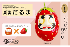 「フルーツだるま」 いちご だるま 縁起物 ギフト お祝い 祝福 インテリア 手乗りダルマ プレゼント かわいい 願い 暮らし 癒し インテリア 日本製 伝統工芸品 贈り物 開運 置物 グッズ 干支の置物福島県 田村市 錦屋