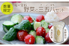 【 先行予約 】 夏の宝石野菜と三五八(さごはち) セット 数量限定 野菜 夏野菜 やさい 三五八 さごはち 発酵 発酵食品 健康 腸活 農家直送 新鮮 ギフト 贈答 人気 ミニトマト 枝豆 レシピ 福島県 田村市 青柳堂