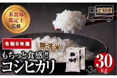 【 令和6年産 無洗米 】  ＼定期便3回／ コシヒカリ 30kg 10kg ずつ 3回 贅沢 のし対応 １週間以内発送 贈答 ギフト プレゼント 福島 ふくしま 田村 美味しい 米 kome コメ ご飯  ブランド米  精米したて お米マイスター 匠 食味鑑定士 安藤米穀店