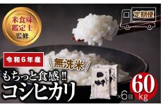 【 令和6年産 無洗米 】 田村産  ＼定期便6回／ コシヒカリ 1俵 60kg 10kg ずつ 6回 配送 贅沢 のし対応 １週間以内発送 贈答 ギフト プレゼント 福島 ふくしま 田村 美味しい 米 kome コメ ご飯  ブランド米  精米したて お米マイスター 匠 食味鑑定士 安藤米穀店