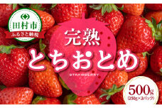 完熟 いちご 「 とちおとめ 」500g ( 250g × 2パック ) イチゴ 苺 果物 フルーツ ストロベリー 贈答 ギフト プレゼント 冬ギフト 福島県 田村市 がもう農園